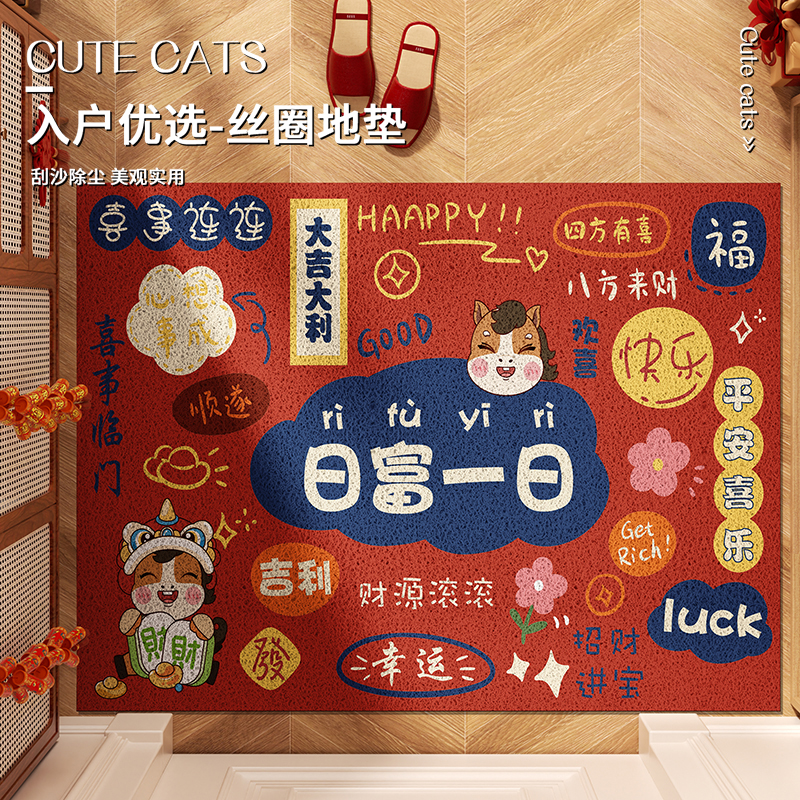 进门丝圈地垫入户门垫家用防滑