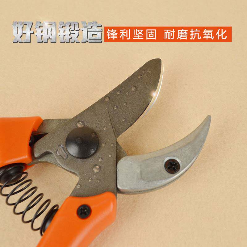 德沃多肥料园艺工具剪刀果树树枝修枝剪子月季专用花剪家用通用型
