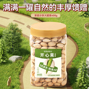 坚果进化论开心果400g罐装坚果零食孕妇干果仁无漂白自然原色