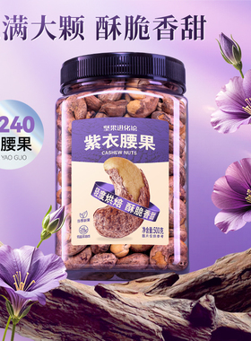 坚果进化论A240坚果进化论紫衣腰果500g坚果干果仁罐装炒货