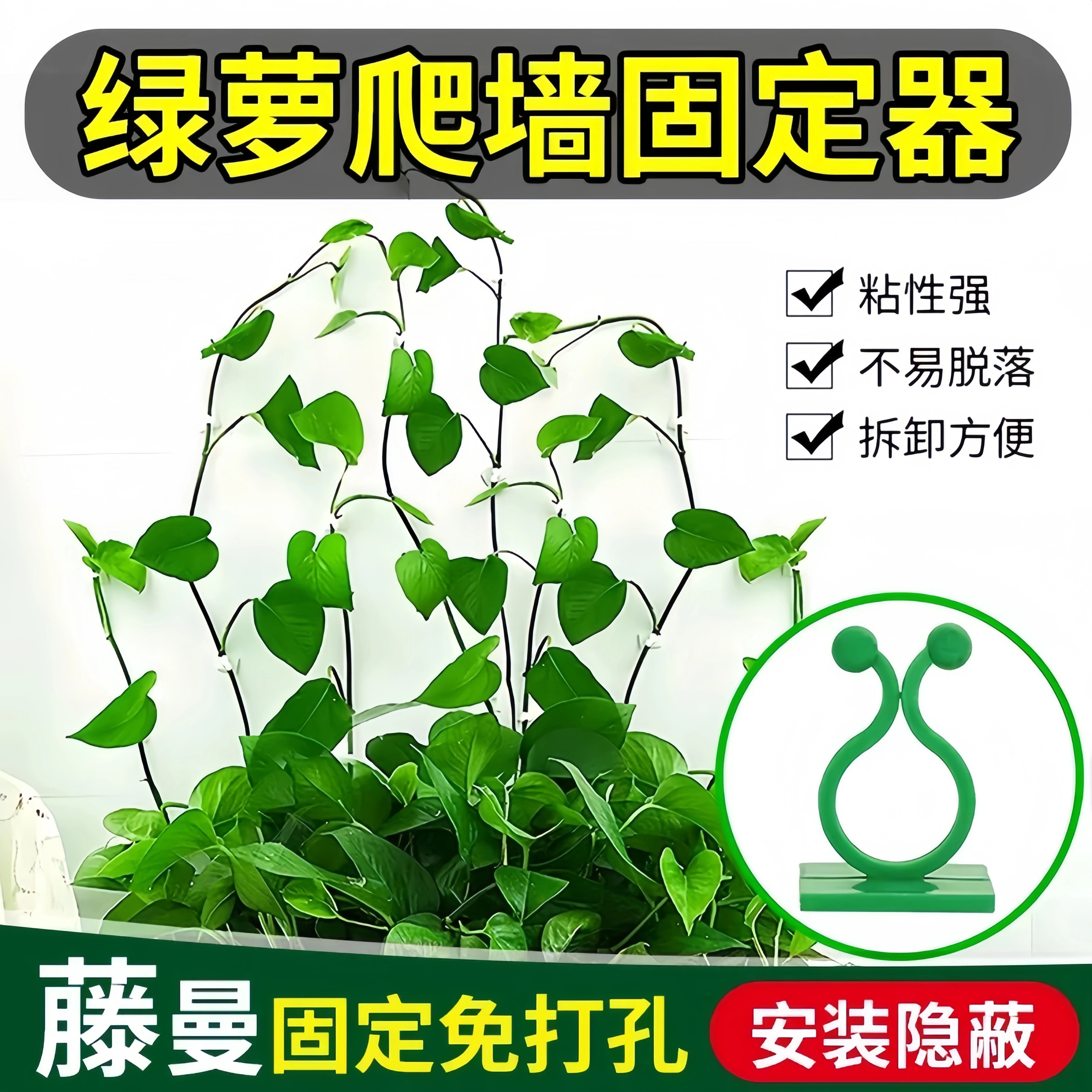 绿萝爬上固定神器粘性强加厚