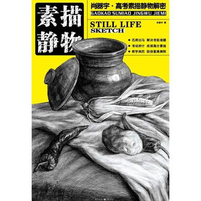 正版书籍肖器宇·高考素描静物解密：素描静物肖器宇9787229031183