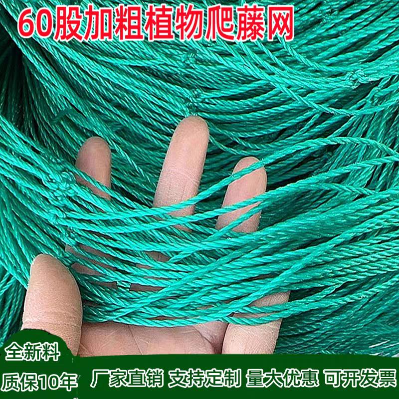 百香果爬藤网瓜蒌苦瓜网
