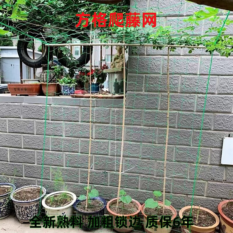 菜园爬藤架网架葡萄架豆角架