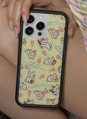 WildFlow手机壳联名SandyLiang适用苹果iPhone17/16/15/14/Pro/Max/Plus硬壳防摔保护套小兔贴纸WF华强北壳