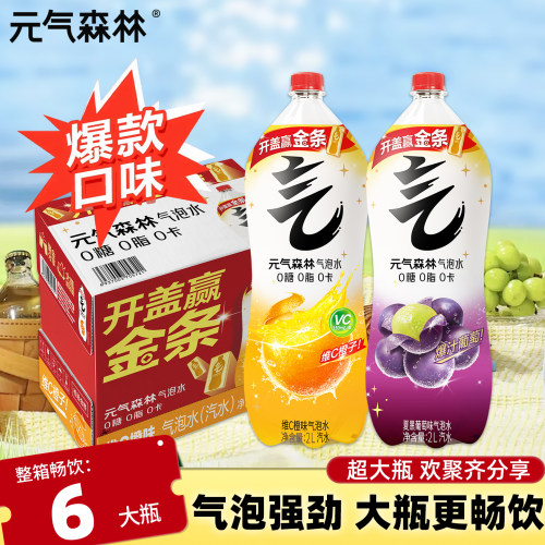 元气森林气泡水2L*6瓶整箱批发
