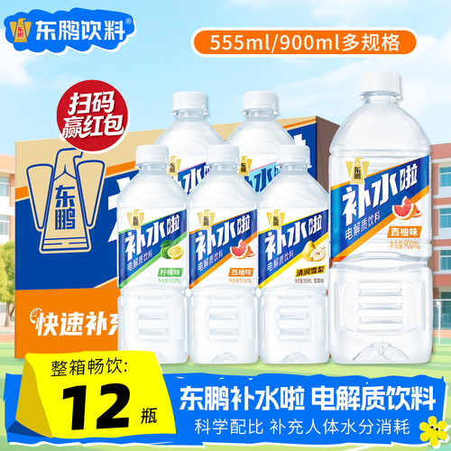 东鹏补水啦电解质水900ml*12大瓶