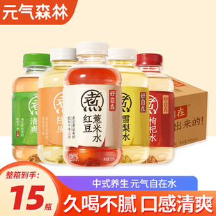 元气森林自在水红豆薏米水500ml*12瓶红枣枸杞水健康无糖饮料整箱