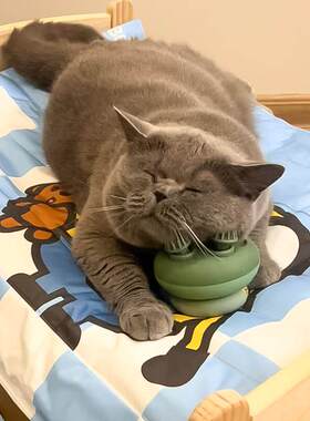猫咪按摩头部神器宠物自动按摩仪器狗狗挠痒痒梳毛按摩器撸猫狗