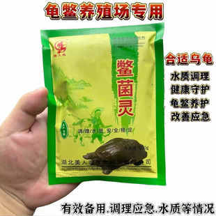 正品湖北美人鱼鳖菌灵乌龟甲鱼鳖水陆通用调理水质状态改善养护