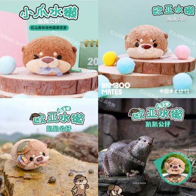 【水獭】红山动物园限定杭州动物园梭子蟹水獭趴趴可挑脸正品代购