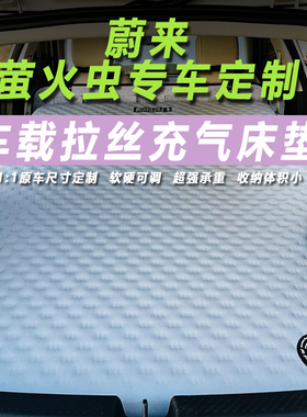 蔚来萤火虫汽车车载床垫露营便携车载拉丝充气床垫睡垫睡觉神器