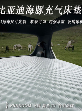 比亚迪海豚汽车车载床垫露营便携车载拉丝充气床垫睡垫自驾游定制