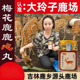 仙养方鹿心丸梅花鹿心高纯度养心安神东北特产吉林双阳鹿乡正品