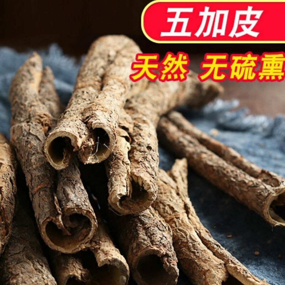 五加皮中药材精选泡酒泡茶五谷皮干五加皮根片新货南五加皮正宗