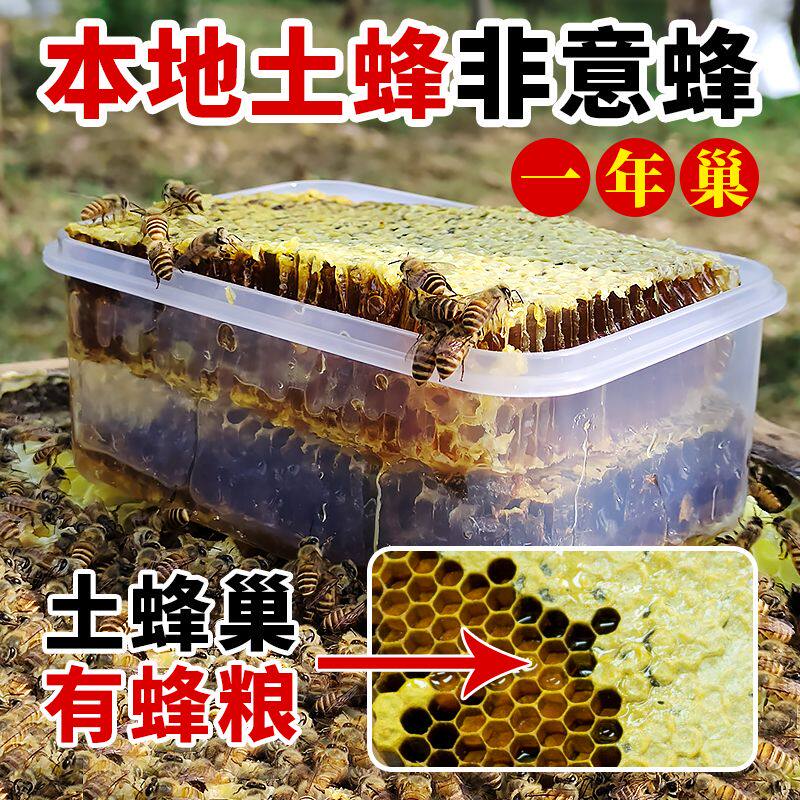 秦岭深山土蜂巢蜜嚼着吃精选木桶老巢无人工成熟全封盖野生蜂巢蜜