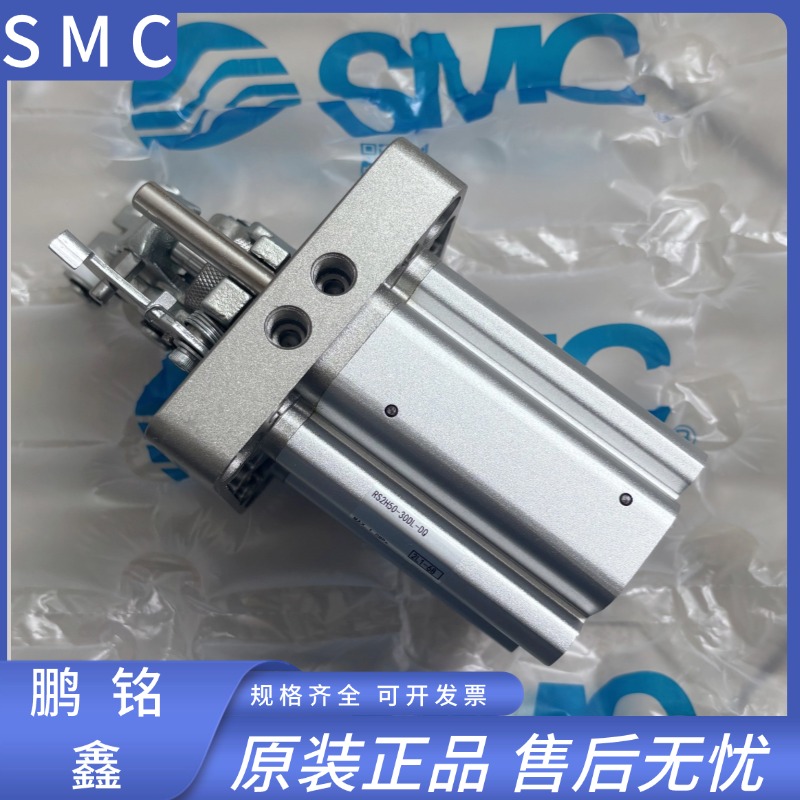 SMC止动阻挡气缸RSA RSH RS2H50A/63/80-30-40DL/M BL/M TM-X2701