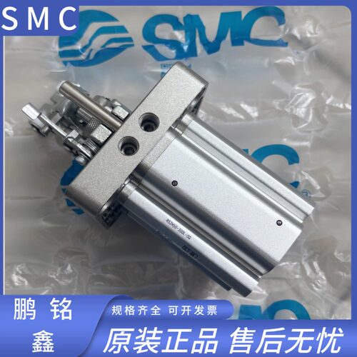 SMC止动阻挡气缸RSA RSH RS2H50A/63/80-30-40DL/M BL/M TM-X2701