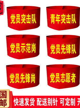 DIY党员先锋队志愿者袖套配别针