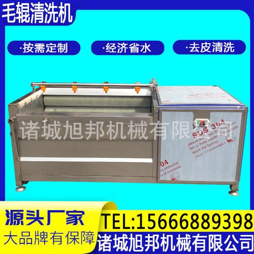土豆去皮清洗机 花生芋头生姜去泥清洗设备 根茎类毛辊清洗机