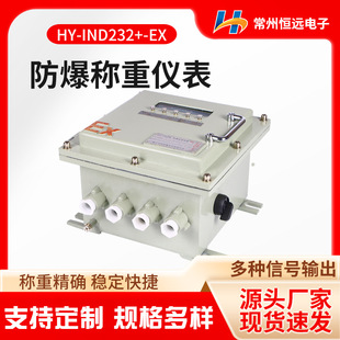 防爆称重仪表HY-IND232+-EX 防爆仪表不锈钢 显示仪器仪表