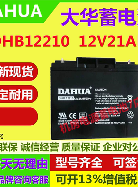 大华蓄电池DHB12210 12V21AH直流电源储能UPS直流屏应急安防医疗