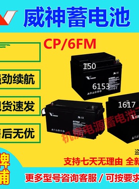 威神蓄电池CP1270 CP1290 CP12120 CP12240 UPS电梯机房通讯EPS