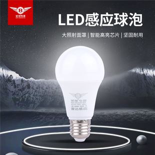斌翔电器led灯泡雷达智能感应车库楼道走廊物业声光控球泡e27螺口