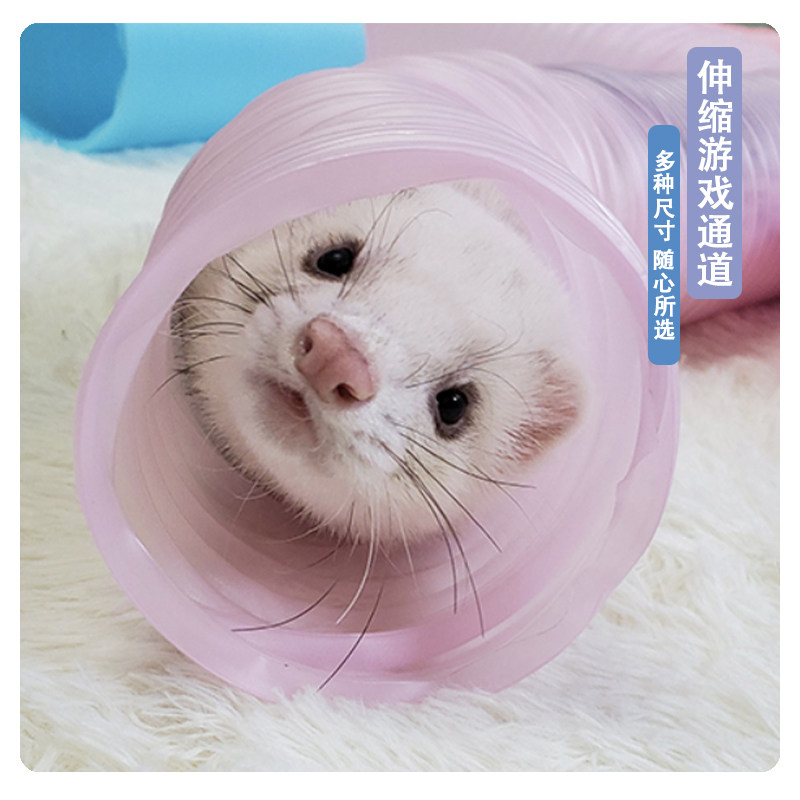 UMI伸缩通道兔子荷兰猪仓鼠玩具图片
