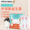 台湾citwo宠物兔兔全年龄段小动物专用肾脏功能保健益生菌粉新品