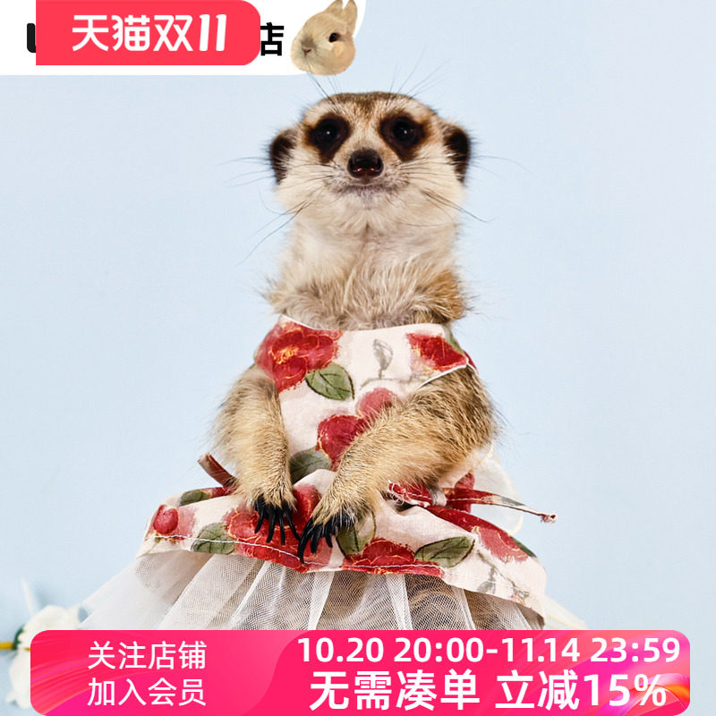 umi小宠服服狐獴款裙子夏季裙子