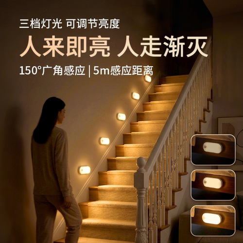 Lyridz智能人体感应灯充插两用