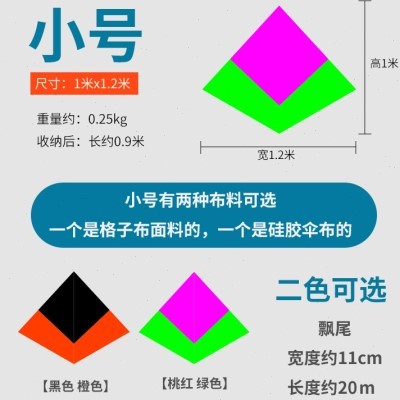 追风者新款冲天追风筝成人大型高档伞布碳杆风筝带尾大风放飞稳定