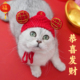 头套猫头饰狗针织拜年帽青蛙兔子 宠物帽子新年财神帽猫咪可爱变装