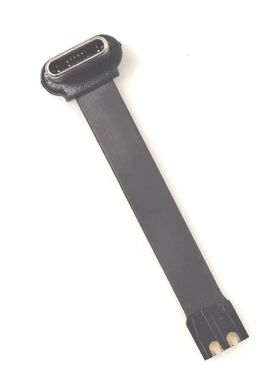 TYPE C 2pin 公头注胶款 排线FPC软排线L42mm