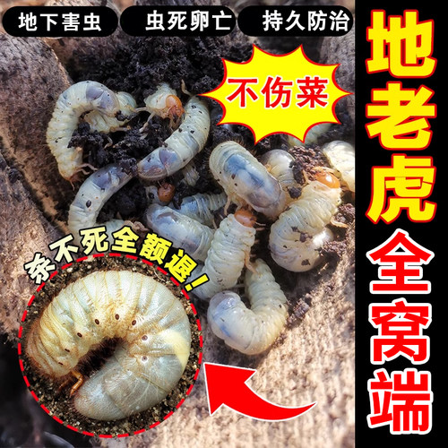 农用红薯花生地菜园花盆灭土蚕药