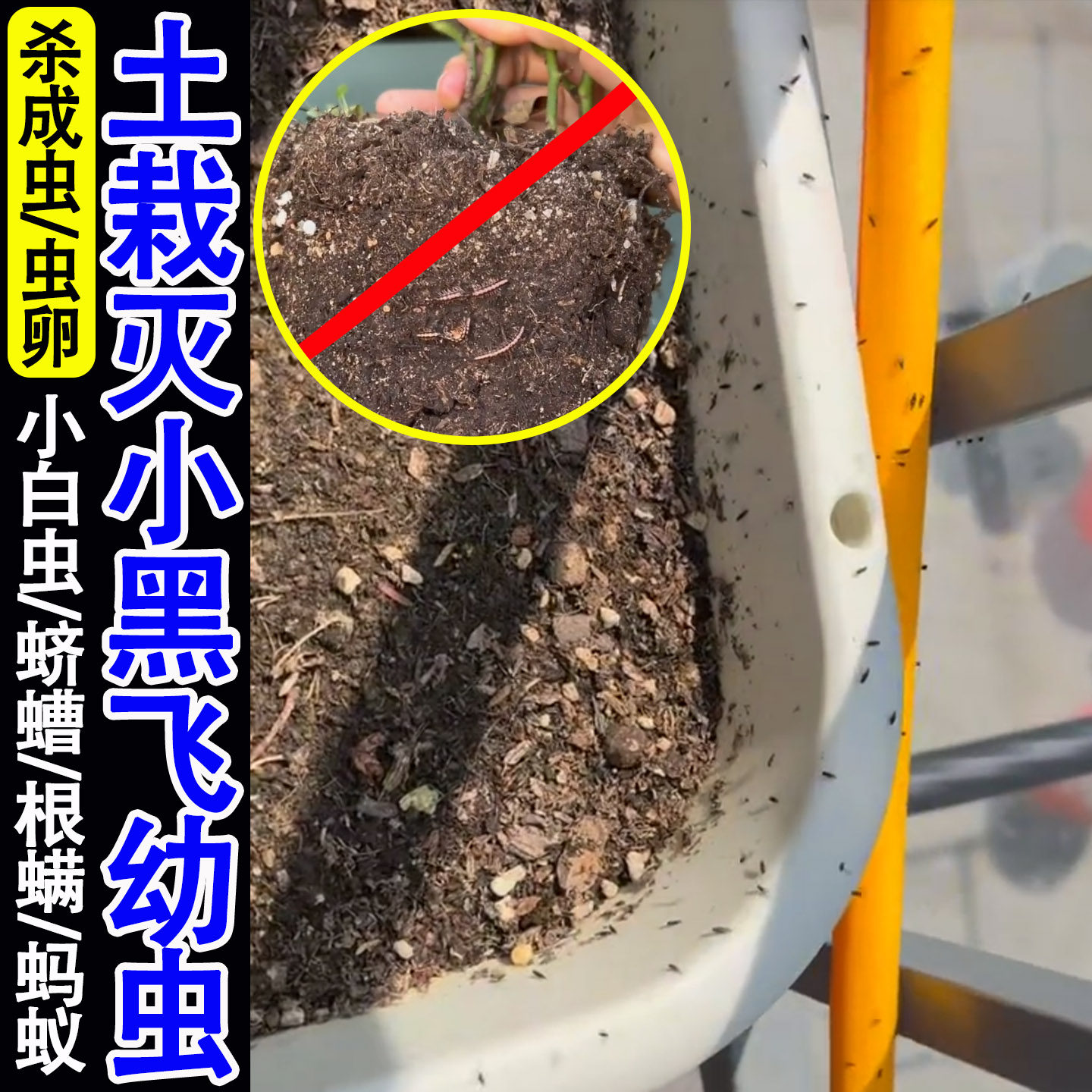 家用花盆土壤杀虫剂呋虫胺马陆蜈蚣小白虫蚂蚁小黑飞幼虫卵除虫ly