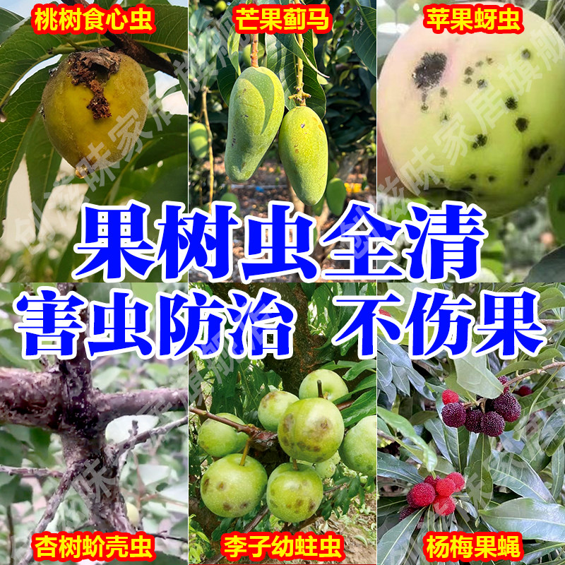 果树开花杀虫专用药桃树李子荔枝钻心虫蓟马苹果杏树蚧壳虫农药xm