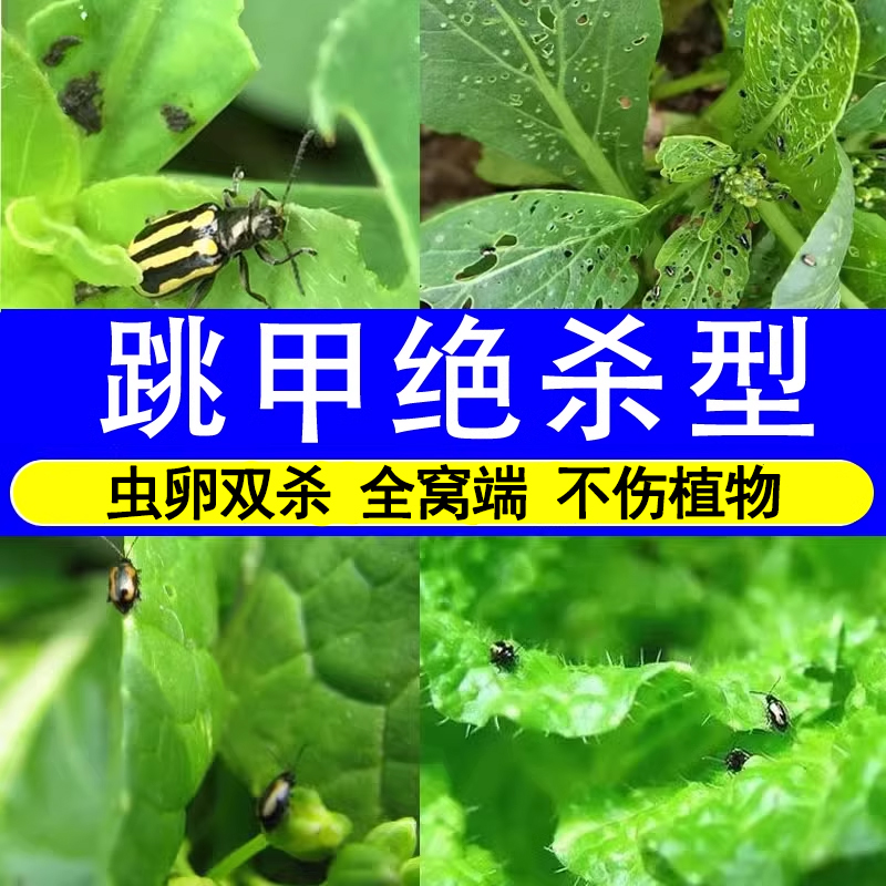 跳甲一次灭绝蔬菜果园特效杀虫药