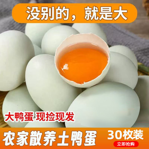 新鲜个大农家散养绿壳土鸭蛋