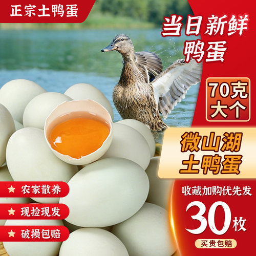 正宗微山湖新鲜生鸭蛋
