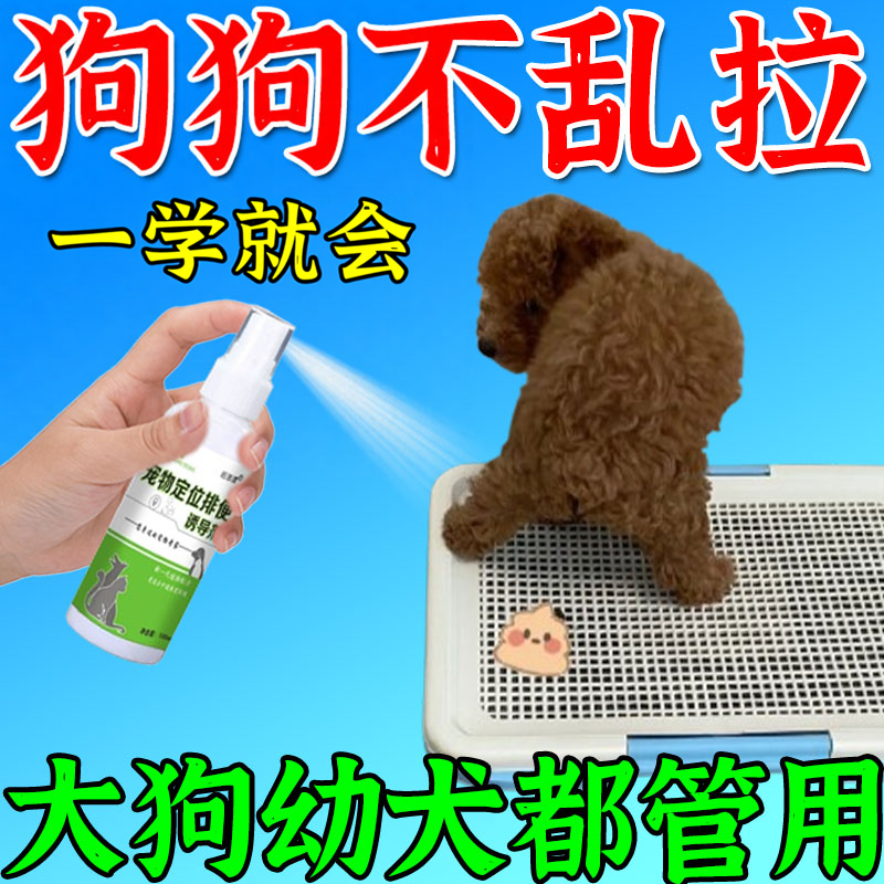 狗狗定点排便神器宠物不乱拉屎上厕所诱导剂引大小便尿垫定点训练