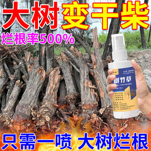 烂根大树专用剂强力腐树根大树烂根药强力枯树王大树一喷死通用JY