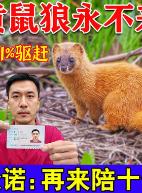 驱黄鼠狼专用药驱赶神器养鸡防黄鼠狼养殖场强力气味驱赶吓b