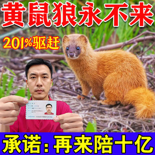 驱黄鼠狼专用药驱赶神器养鸡防黄鼠狼养殖场强力气味驱赶吓克星b