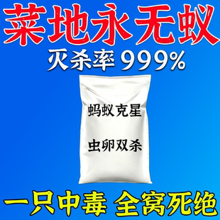 蚂蚁药农用菜地无毒一窝端白蚁防治专用药强效毁巢灵特灭蚁粉剂G