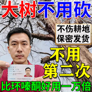 烂根大树专用剂强力腐树根大树烂根药强力枯树王大树一喷死通用