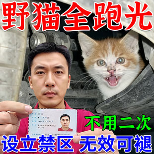 驱猫神器室外长效特强力效除赶猫药2026新款柑橘子味喷雾驱猫专用