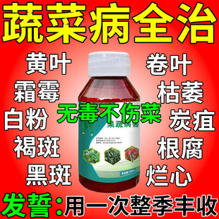 果蔬病害杀菌剂蔬菜瓜果果蔬病白粉斑霉软腐黄叶霜霉病特效专用药