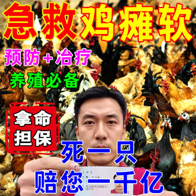 鸡病全治养鸡专用药关节肿大腿软卧地不起瘫软鸡站不起来软脚康